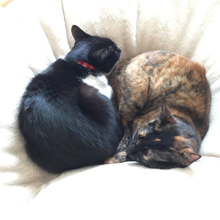 591837e1 b8e9 4a2e 8d6d 5e8e30e24de1 1519547730384