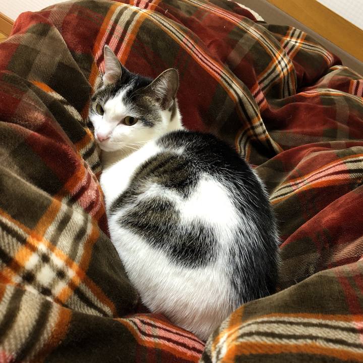 59183d72 e3a0 4955 9fe6 4252811efcb2 1605797770645