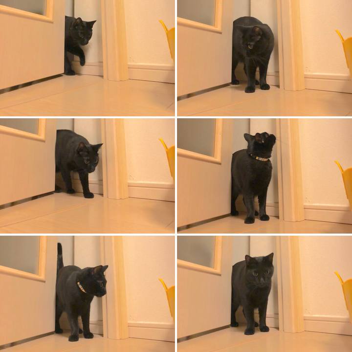 591851f7 c6ab 49ef b660 215fb18d146d 1512994653971