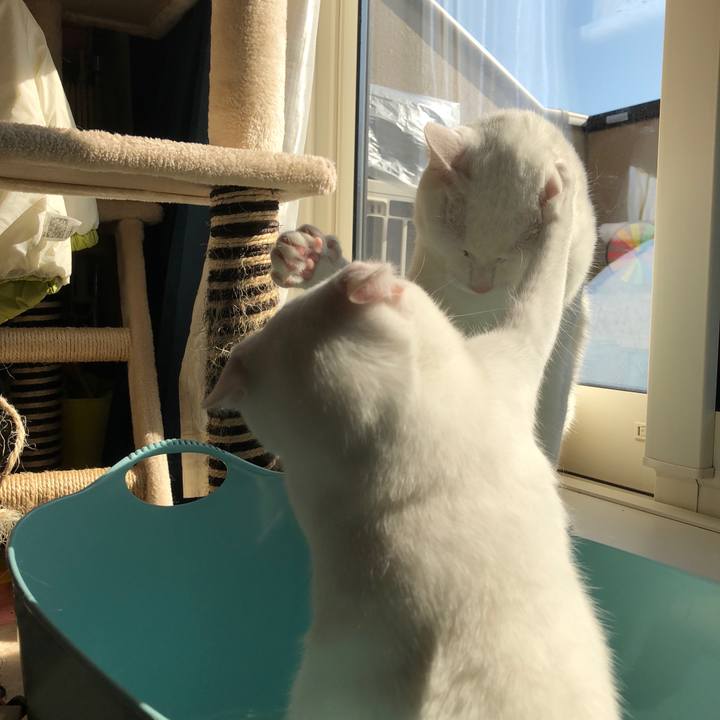 59185b3a 50fb 46ee 97ff 656ab126023f 1517466505319