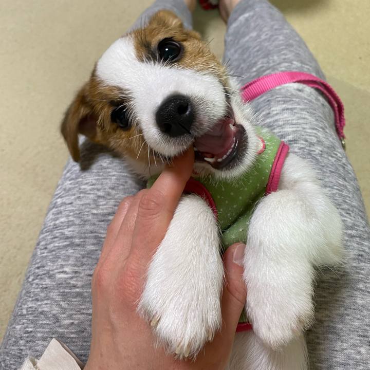 59186d1b d128 4621 b9dc bbbb8b772892 1611225435003