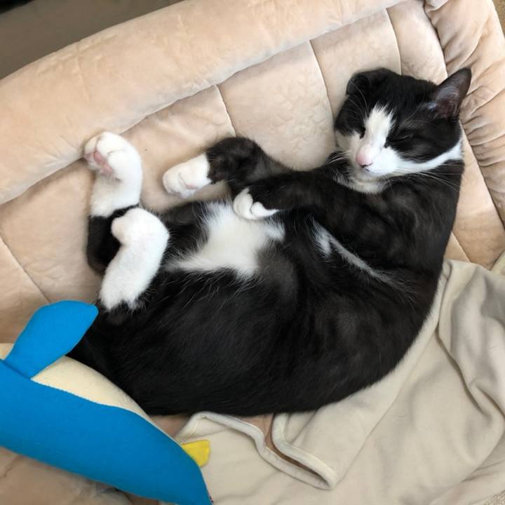 5918a90f f477 4f49 9bc7 ead8e5192f3c 1558504111766