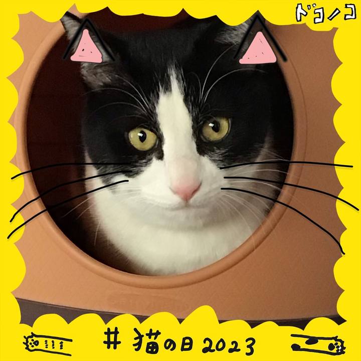 5918da03 98bb 4723 9d30 e883c6950060 1677029533810