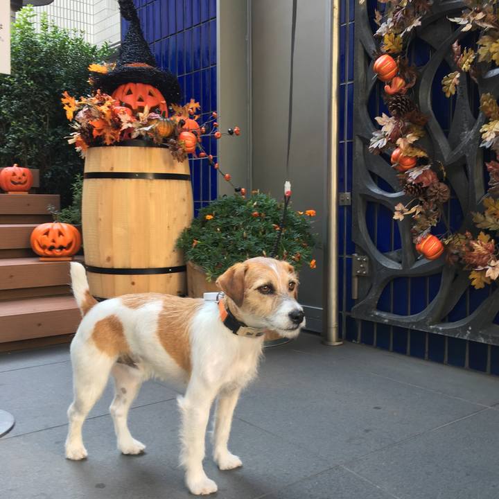 5918ec60 de78 416a 9721 5b24e790112d 1540896007419