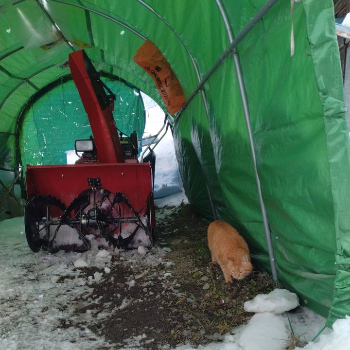 59190dc1 a1ce 4156 993f 23376573f988 1675491278088