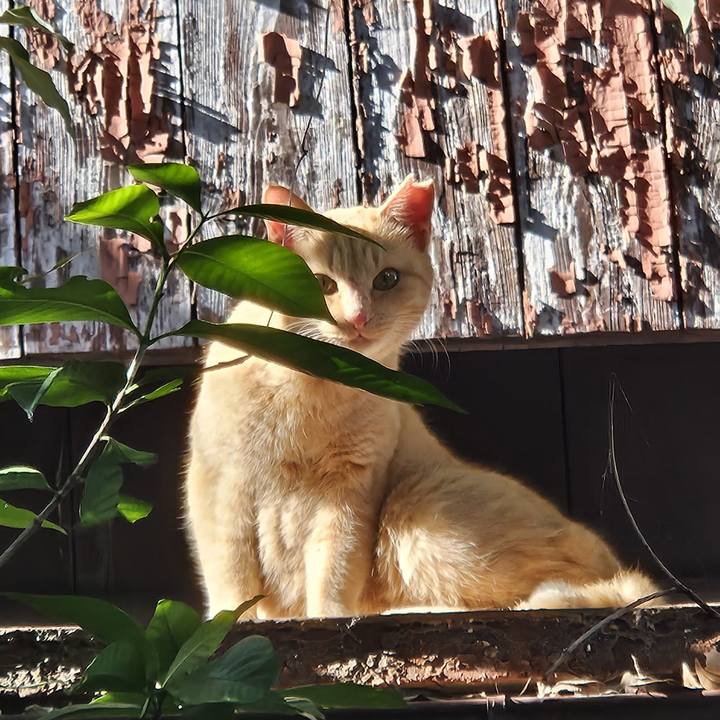 5919175c e36f 4385 9176 b8bef6aee543 1734492275918