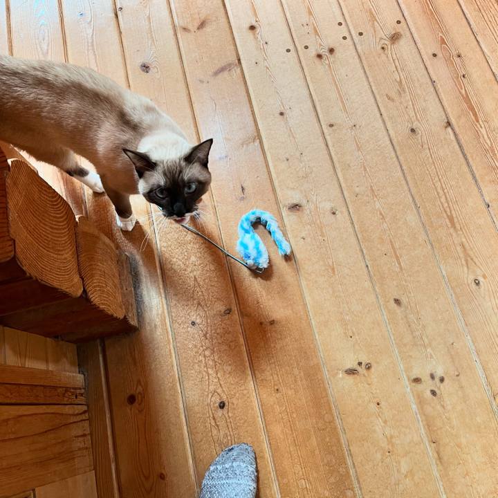 59194060 96ac 43d5 9328 819fb33dbbca 1731793625273