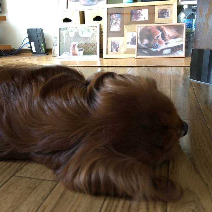 59195aad 0c21 4b2d 9d9e 34a19057b2ec 1558858489303