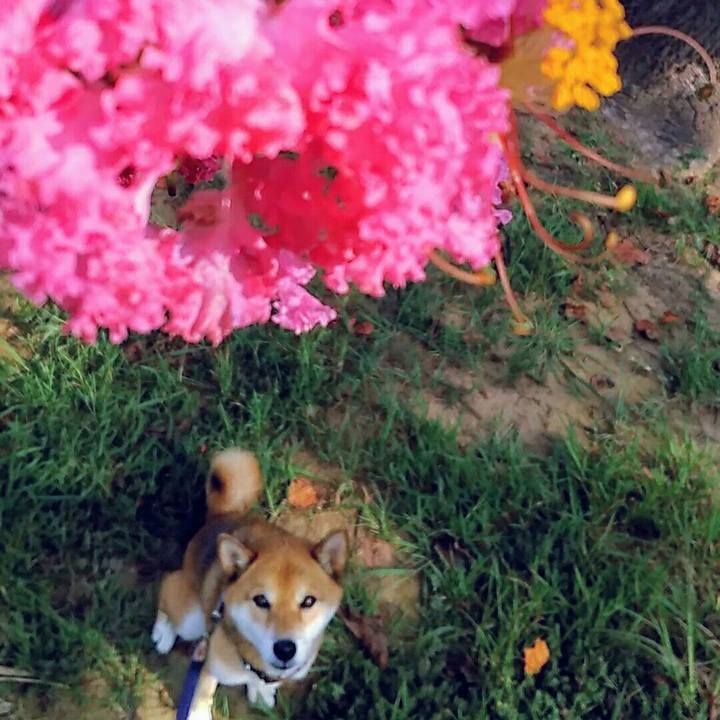 5919a2bb 7062 4d98 82a2 3c8b718651fc 1567382143116