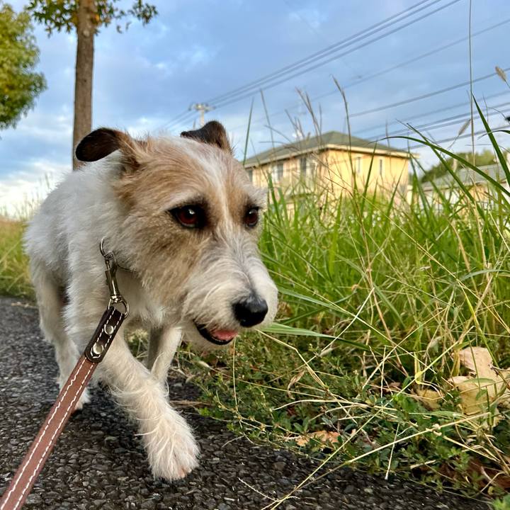 5919e2cf d056 4164 abcd 701b60f286ed 1728983093709