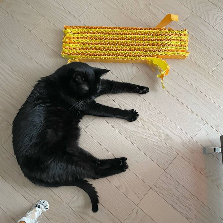 5919fa7c 80b2 46c6 9dcd 75ad75c63f2f 1669172582915