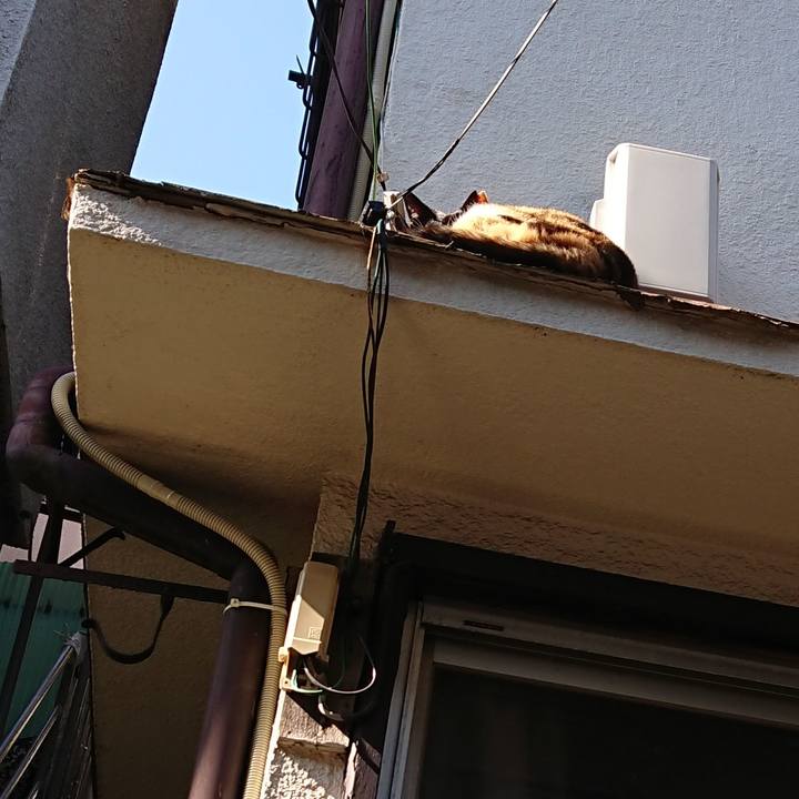 591a090b df01 4159 92ea a1fc0b2c66cb 1588809361036