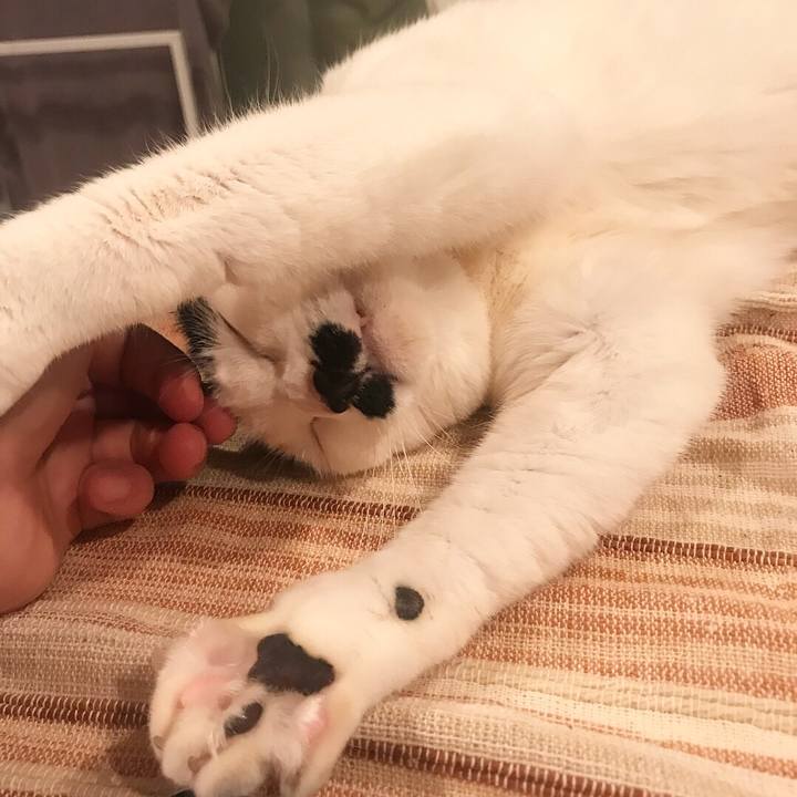 591a1038 e58c 44c4 84b5 8325587e410c 1524404078747