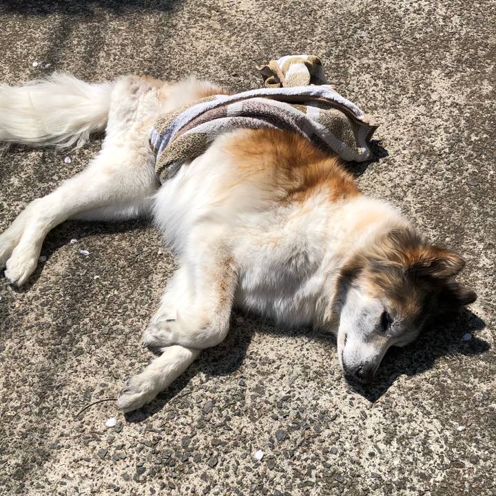 591a1bb8 03e3 4915 832c 512a973a2d90 1554259098431