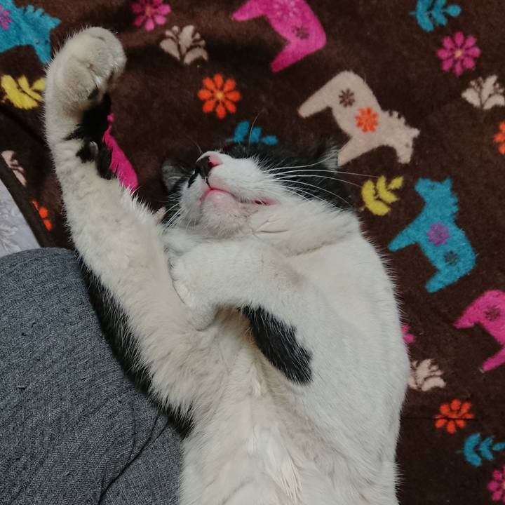 591a3afb b6b0 4dd2 977e ad9832903a76 1555668565655