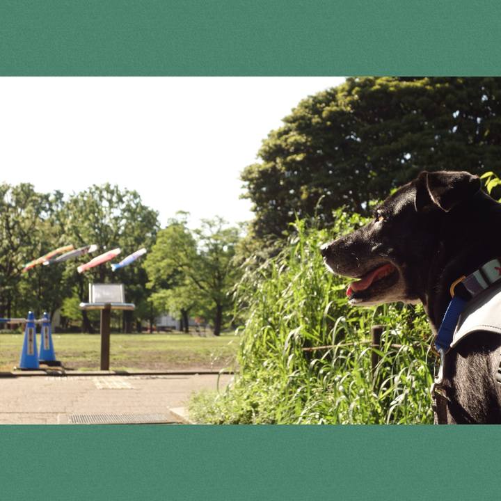 591a6a36 4702 4696 906e d197207894b5 1745885890498