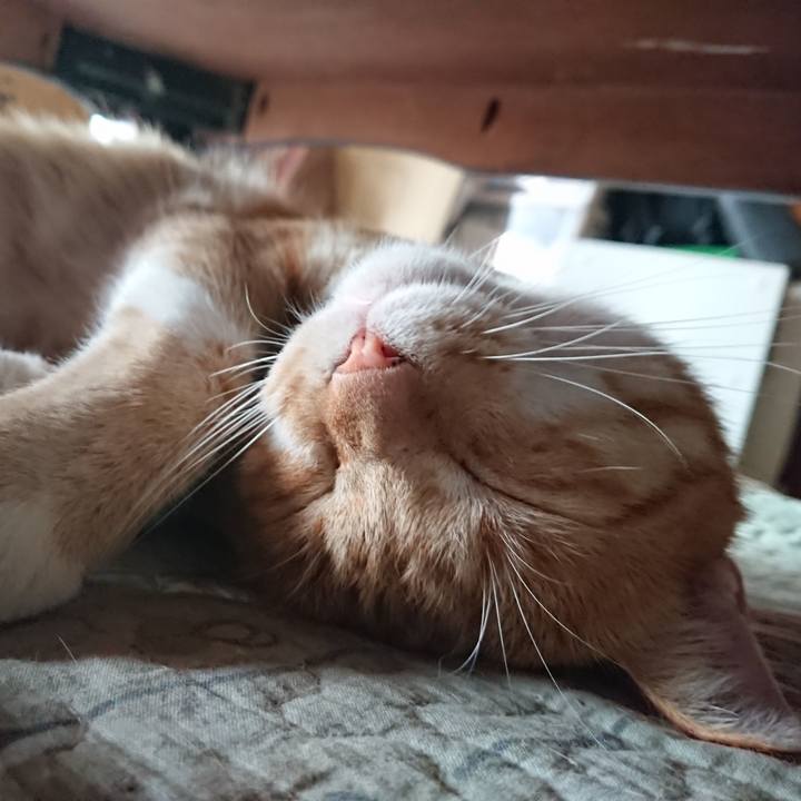 591a6ac5 ca45 49b1 8464 b498e9f62eb8 1565562726360