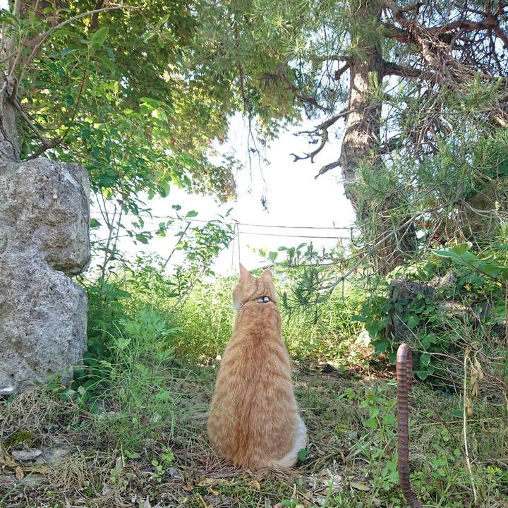 591aaa13 2599 4906 ad51 ecf8a3c789df 1591481411906