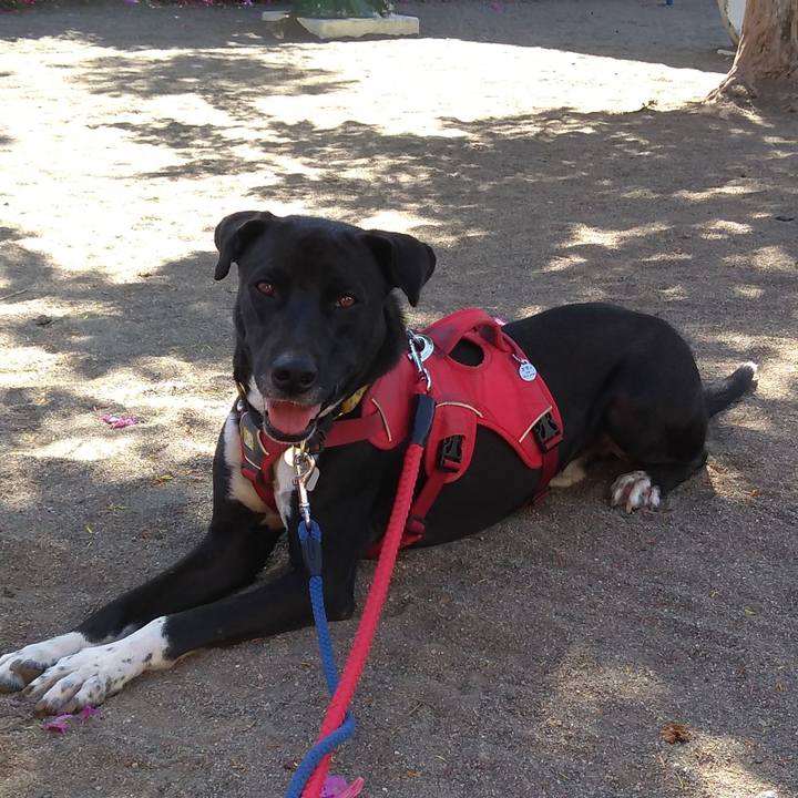 591ab474 ac3b 4c28 a05a 84a54012e796 1589416800300