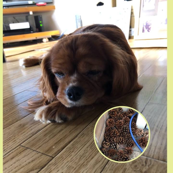 591ab5d1 ca02 421c 99cb 5e25592f2a45 1564093126344