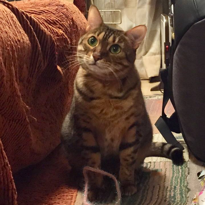 591aba06 7b24 4f58 a04f 95e21da63a90 1515965913739