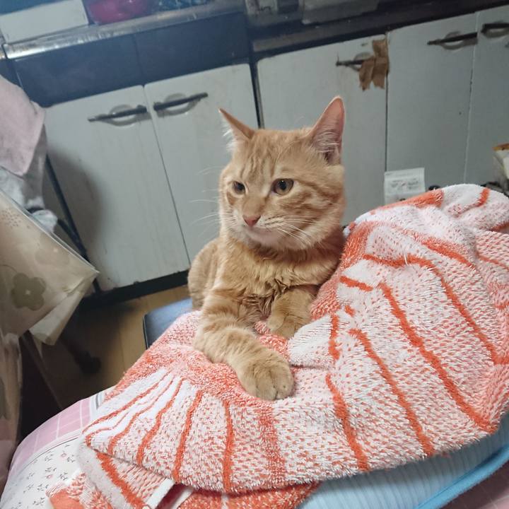 591ae61a 224f 40cb a4f5 d2be985f21aa 1637466374060