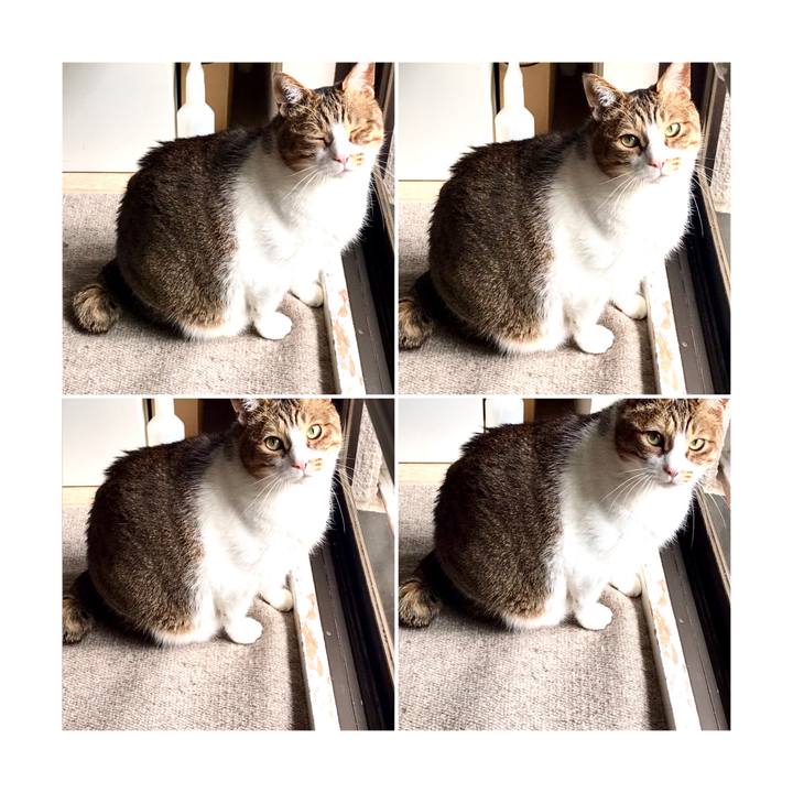 591ae92b 8fa0 4409 80f0 59b3a6e32032 1617769220856