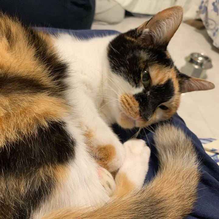 591aef73 3389 4f98 b857 4c63d1b4e25c 1761492266603