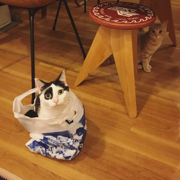 591b1f86 b192 4124 bdb1 c0e0ac612b3e 1556100139455