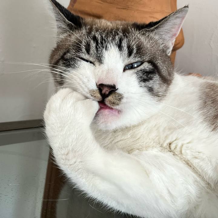 591b661f 6caf 4ef4 8db4 2ffa14290bf2 1774955468879