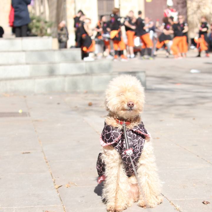 591b7ace 5040 4985 a33f 92591ec9f31f 1520095549990