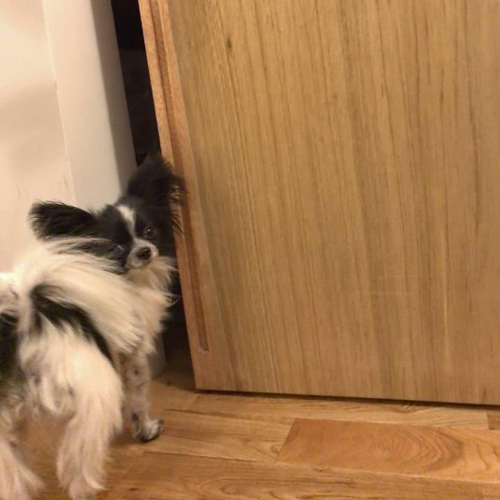 591bd14e a3cf 4aa2 9bb3 12c695e7a772 1513083357760