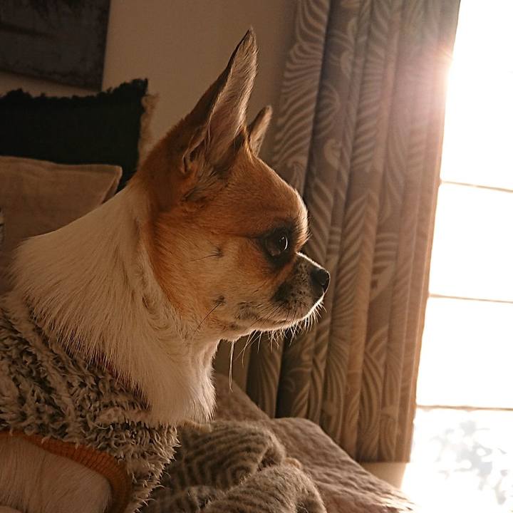 591bd9e3 2b95 4c04 8622 ffa71c88a632 1609138846695