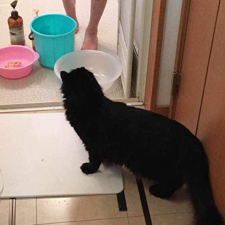 591be551 53d1 4633 93ca 96f3f3113f70 1514107609556