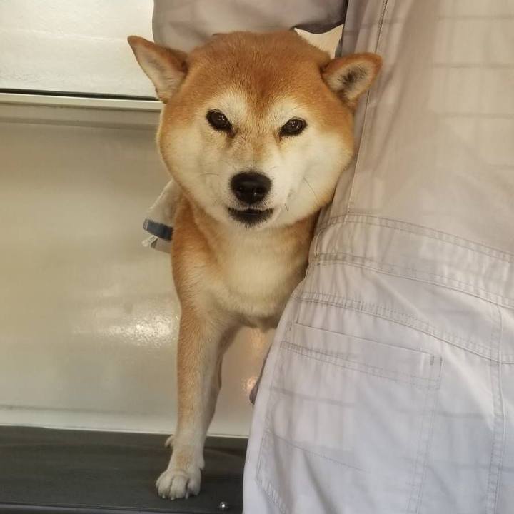 591bed6a 1ebb 49ec 8bdf e7160e63dbdc 1534984977696