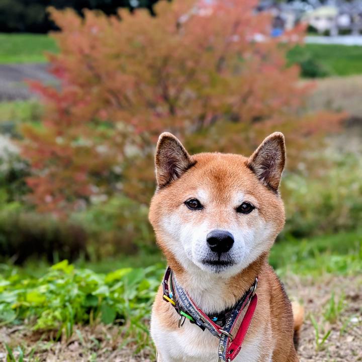 591c18f9 c5c3 44e0 9d66 27b48b540d40 1761979554895