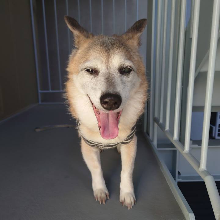 591c196f 1e94 4bb2 a02a f750fd76144b 1739530317695