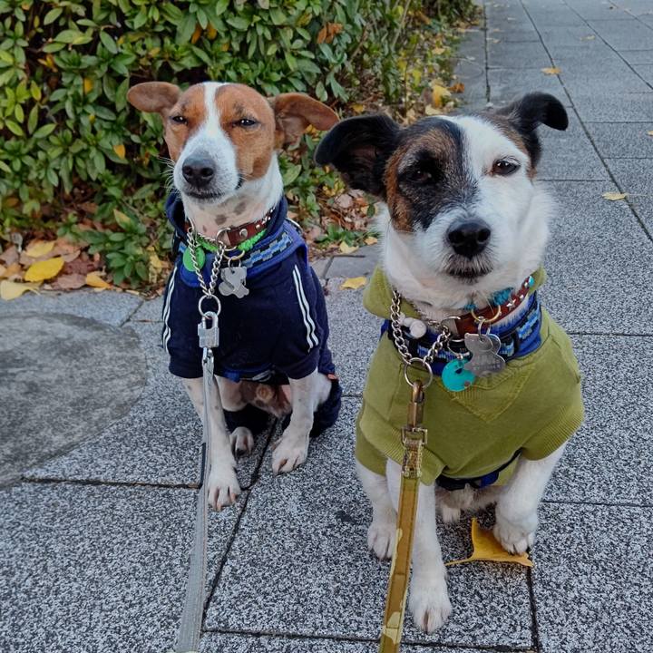 591c33ec 959e 421f a6a9 7718f870b049 1639347837144