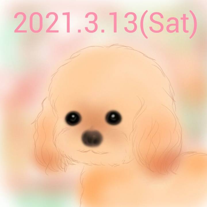 591c37a3 a1c7 4626 8967 9abebcdb5f41 1615638540005
