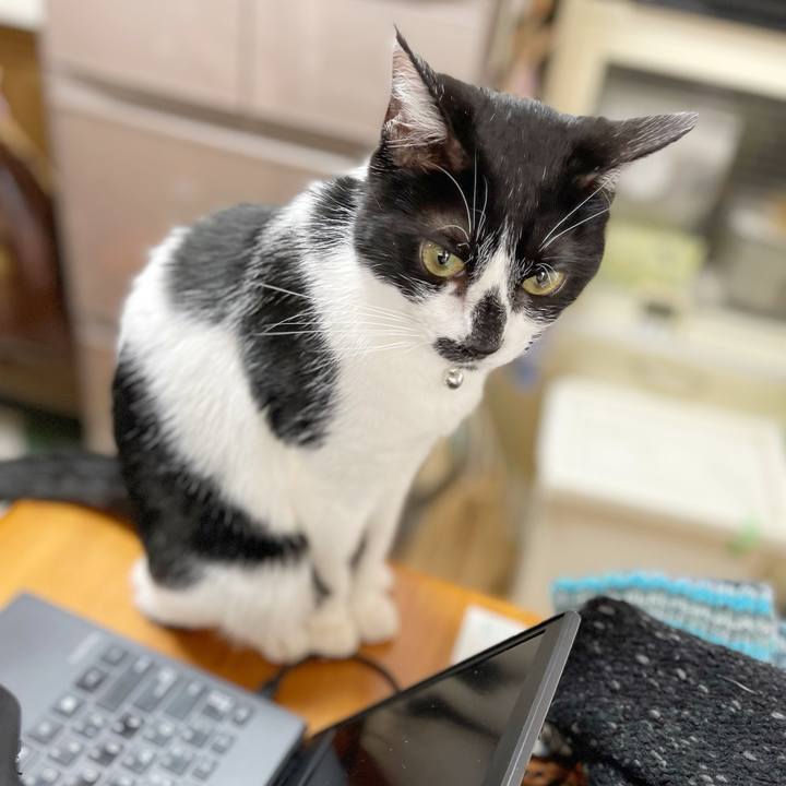 591c4532 1c6b 439e ad72 7bc41eb1306e 1771816604164