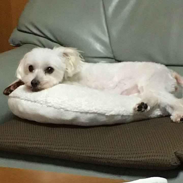 591c4805 3745 4aab a49b 6aded0cf96fd 1628854375709