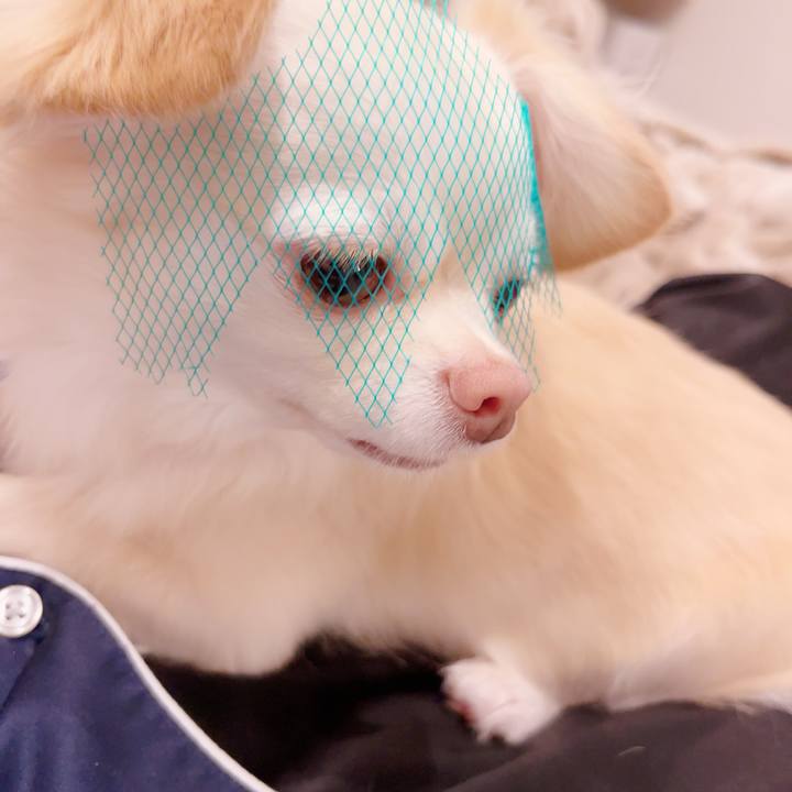 591cd0db 482d 4f74 91c3 f2fbdf1275a8 1692613809291