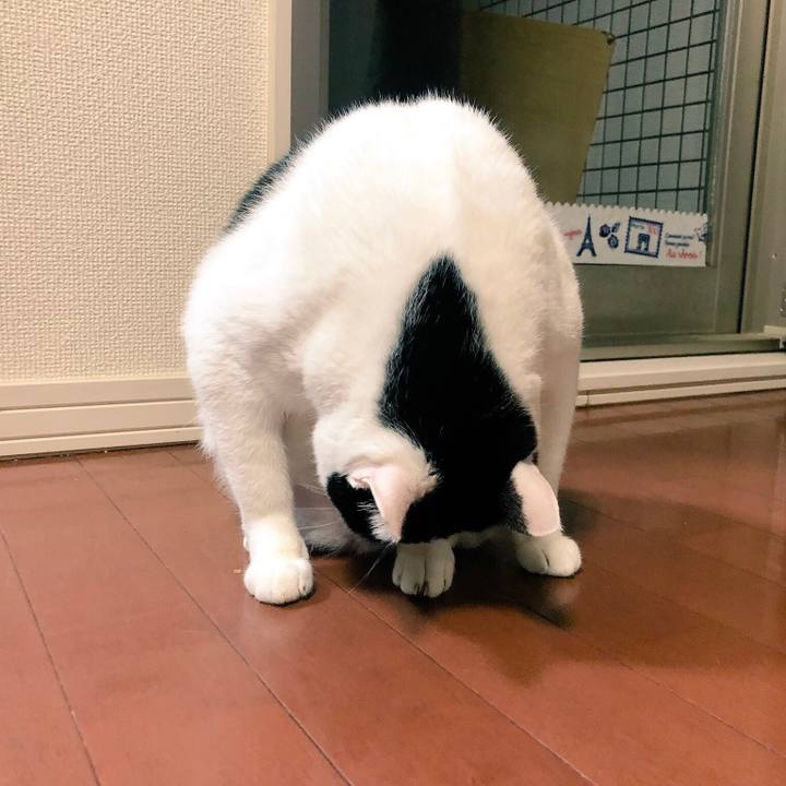 591d388f 4acf 4bb3 bbbe be54b098cc03 1544620556550