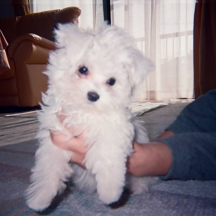 591d42de 5354 48e8 8156 596b889bbffb 1669161962357