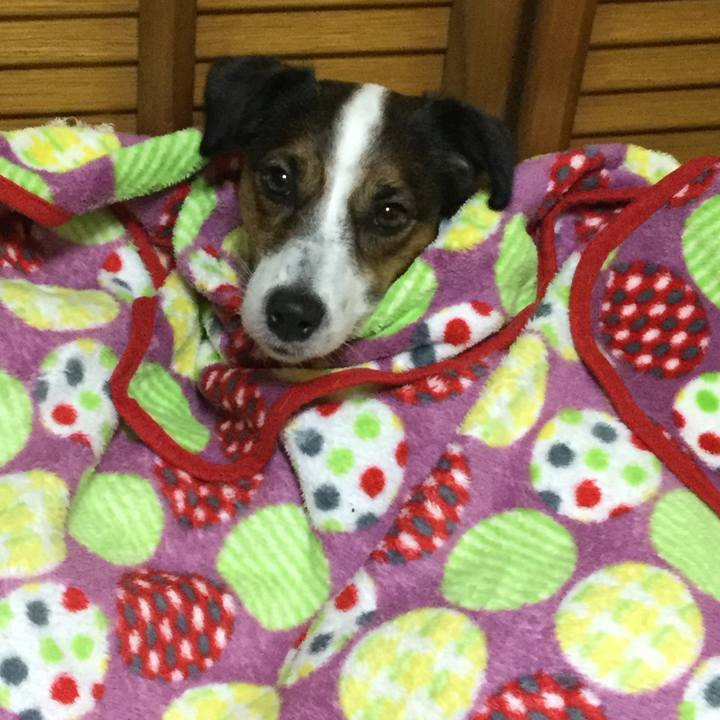 591d7a6e bd39 43a5 bc57 a72d52ca43b7 1509015995741