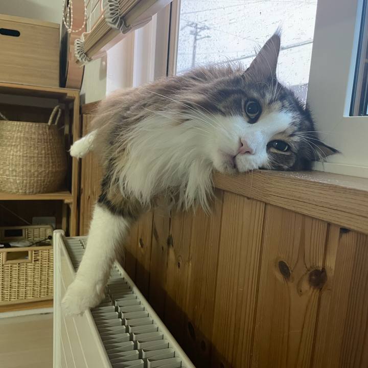 591dabe7 0243 4f67 9727 6e2556aec716 1750536100175