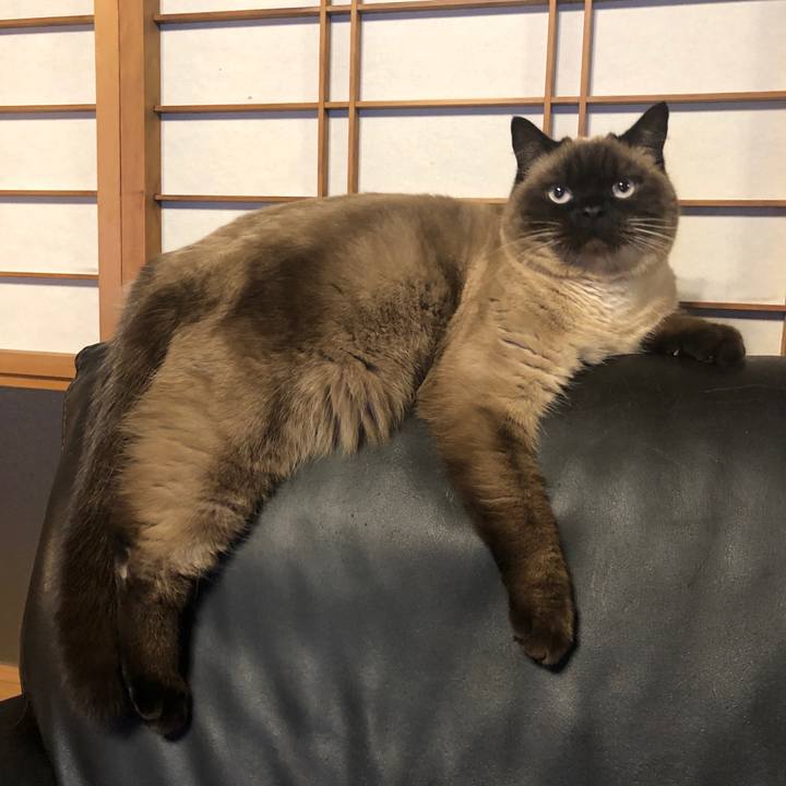 591db148 99d7 4153 bd33 c7e75e7e7f1f 1613272414898