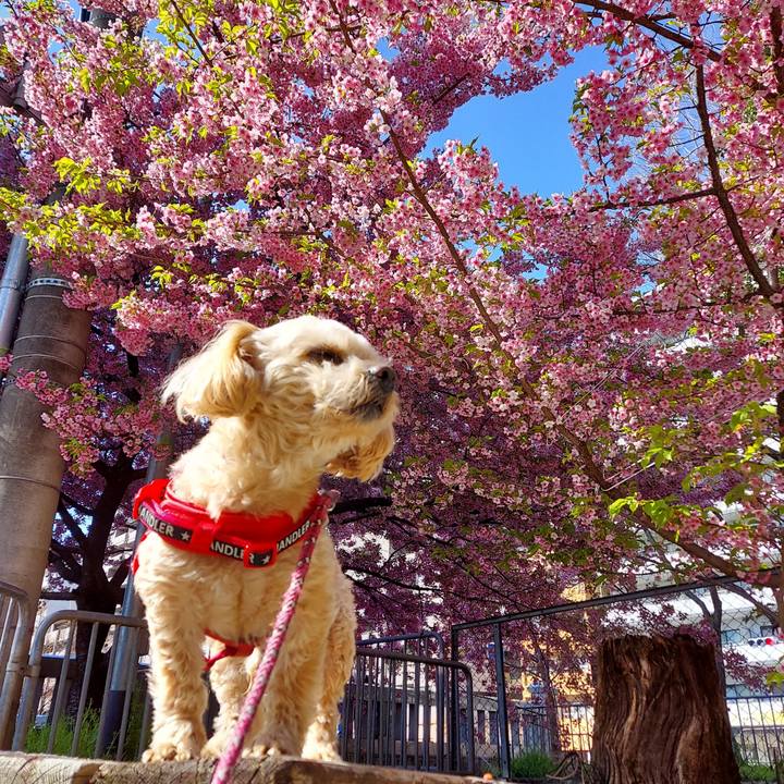 591e41f1 f853 4026 935e a0ff696463f7 1678928096871