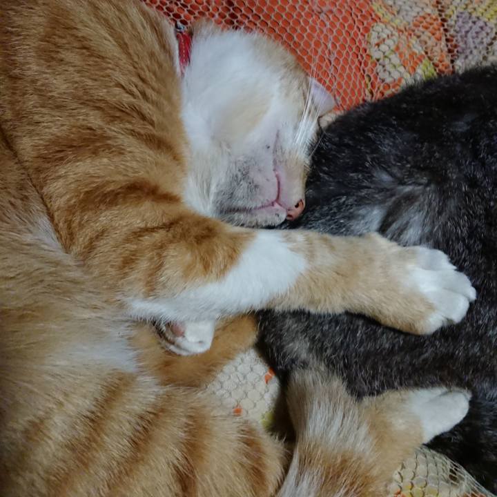 591e439c af82 4851 b5c6 f7327c97313b 1571751675014