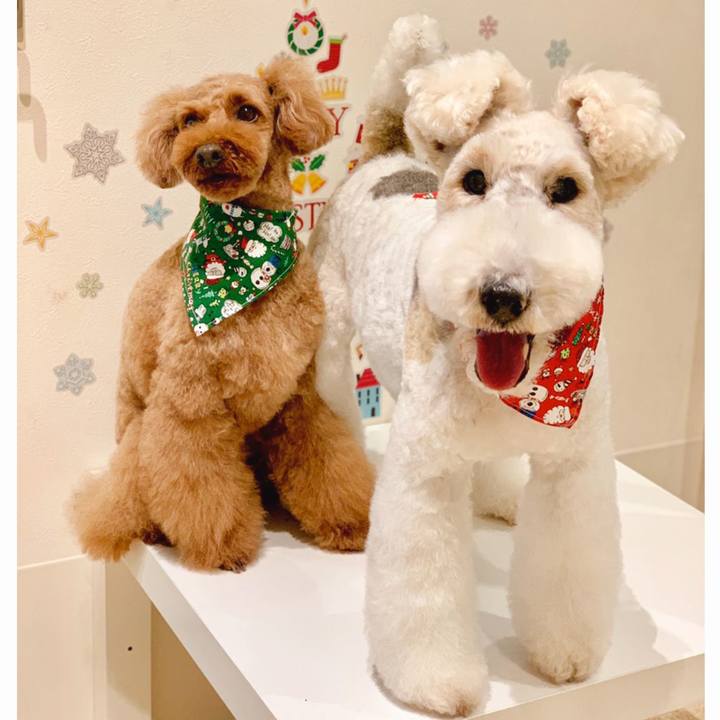 591eb1fb b6b3 4ef8 86e6 80b59afa074d 1544257117929